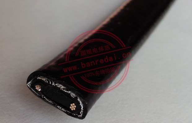 低溫型自限溫電伴熱帶細節(jié)